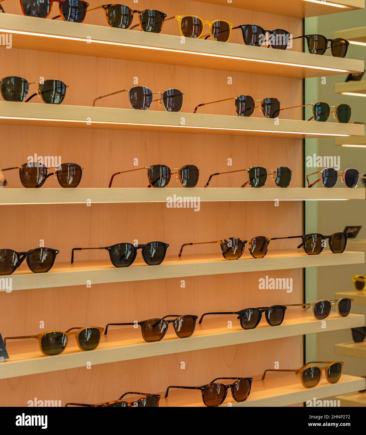 Trendige Sonnenbrillen, Sommerbrillen, Modekollektion, verschiedene Sonnenbrillen auf einem Stand. Brillen Werbeaktionen mit Garantie auf Holzregalen. Niemand Stockfoto