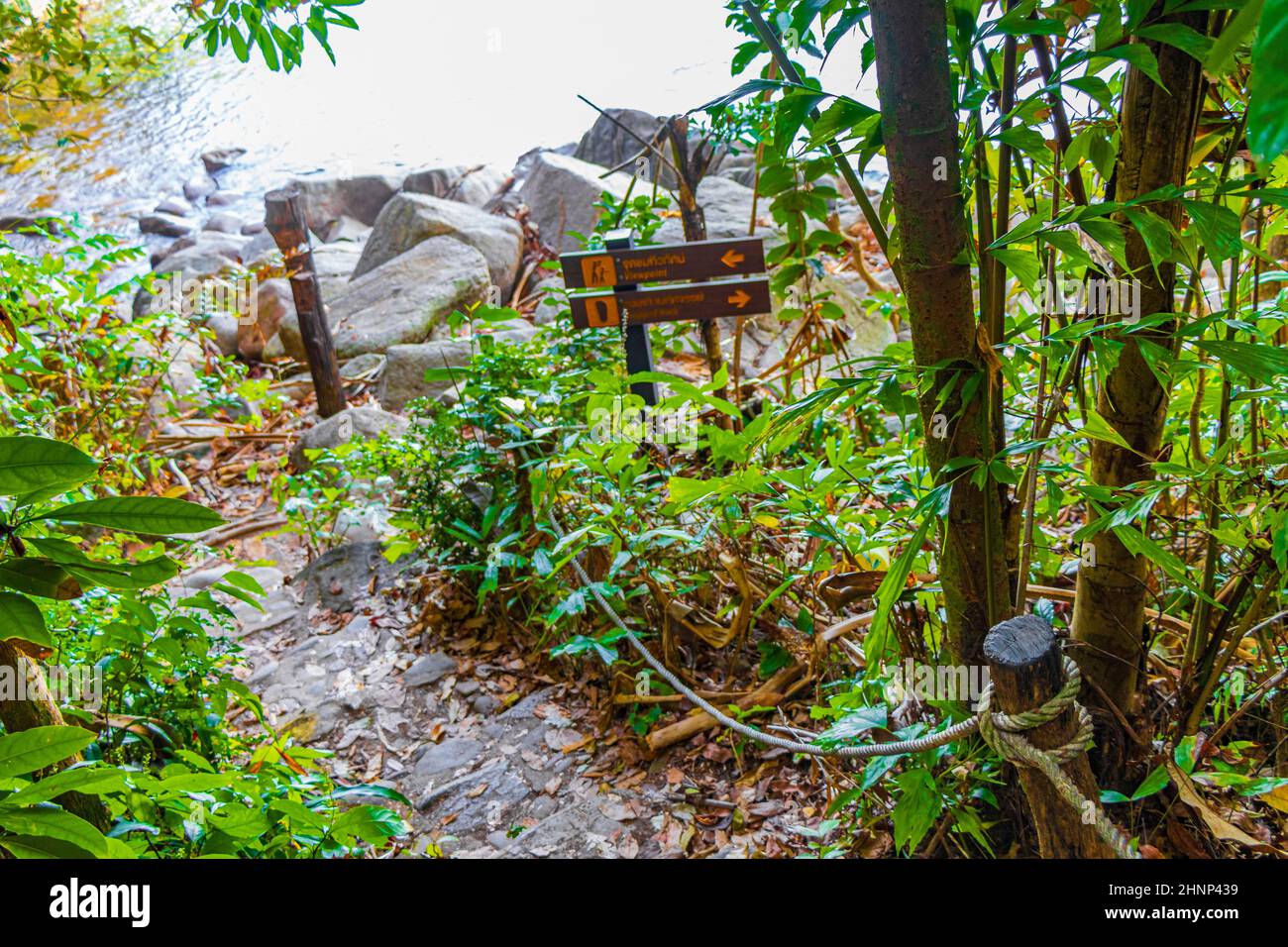 Wandern Naturlehrpfad im tropischen Dschungel Wald Lamru Nationalpark Thailand. Stockfoto