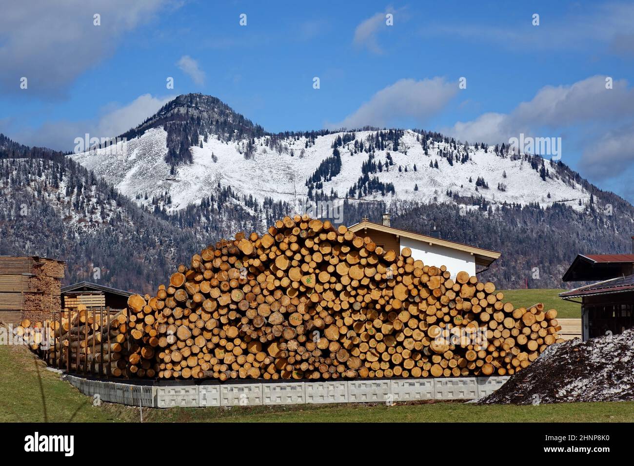 Österreich, Tirol, Kaiserwinkel, Holzverarbeitung, Sägewerk Stockfoto