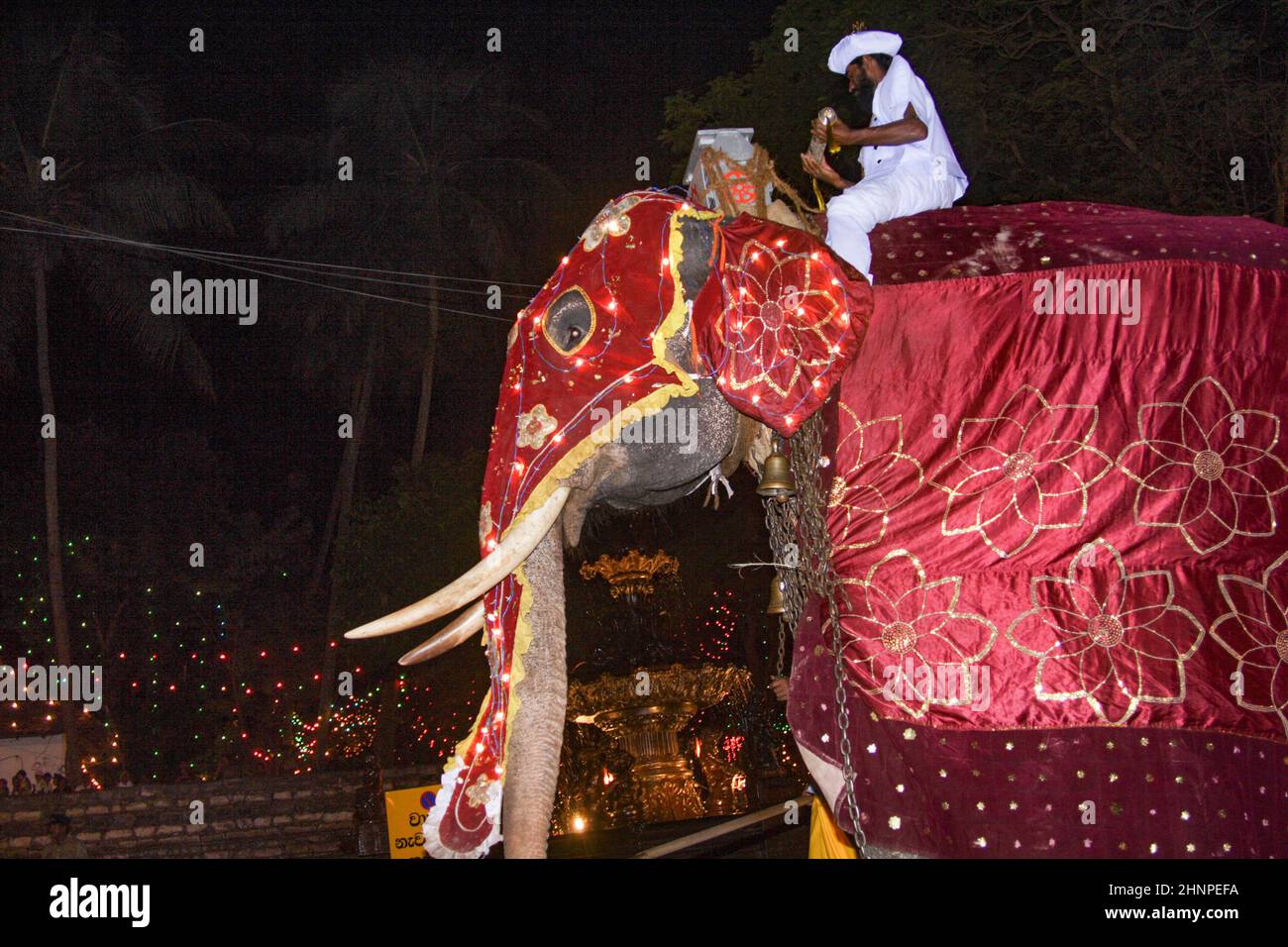 Geschmückte Elefanten mit Mahouts nehmen am Fest Pera Hera in Kandy Teil, um den Zahn Buddhas in Kandy zu feiern Stockfoto
