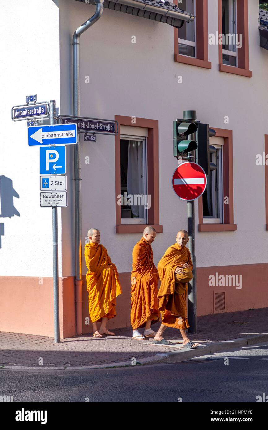 Bettelnde Mönche überqueren morgens in ihrem typischen orangefarbenen Kleid eine Straße mit Körben, um Nahrung zu sammeln Stockfoto