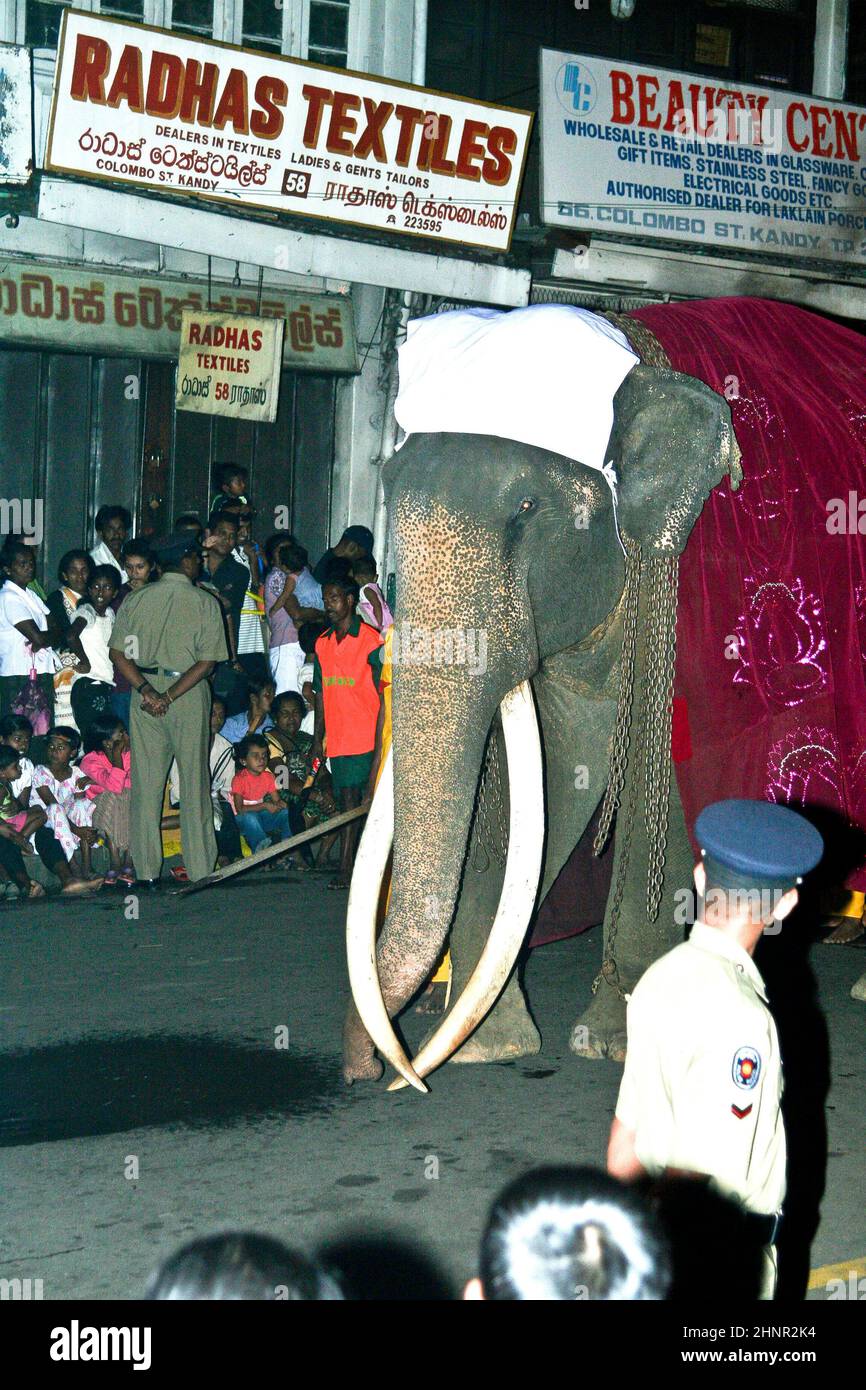 Polizist beobachtet die Szene beim Festival Pera Hera in Kandy Stockfoto