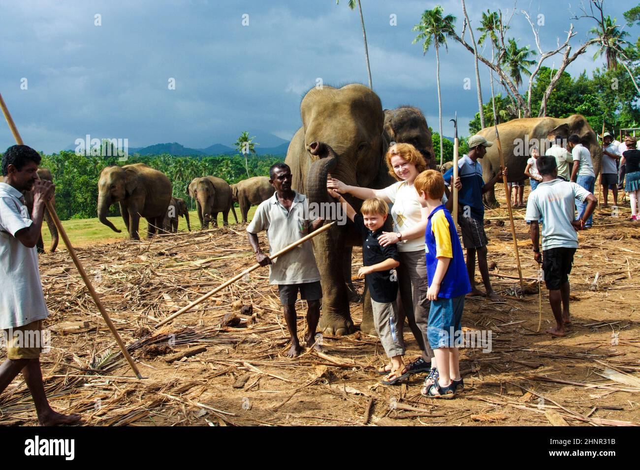 Kinder umarmen sich mit Elefanten im Dschungelcamp Stockfoto