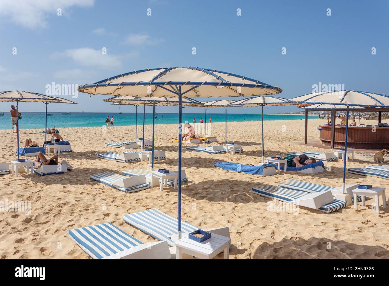 Beach Club Sonnenschirme, Praia Santa Maria, Santa Maria, Sal, República de Cabo (Kap Verde) Stockfoto