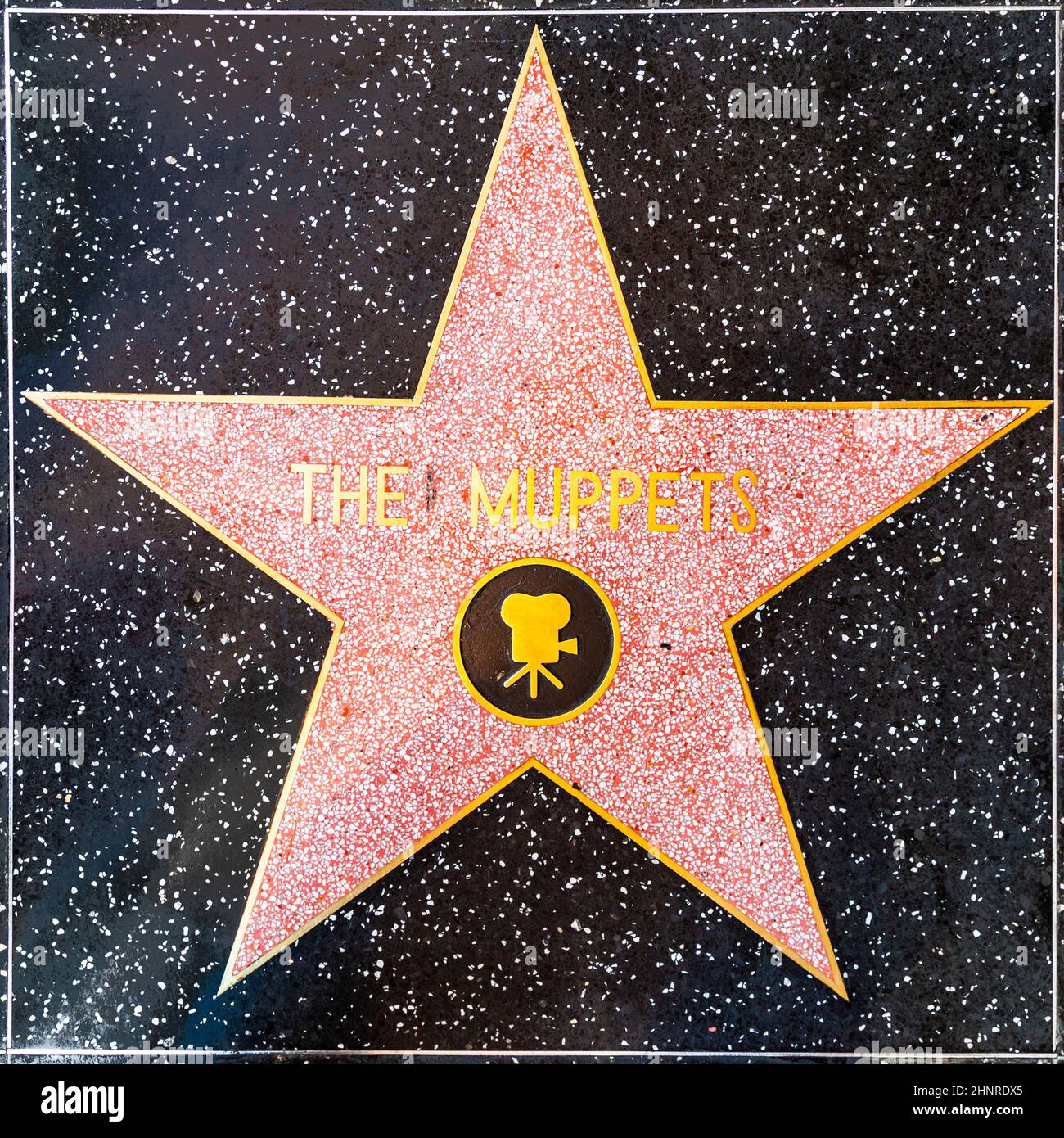 Die Muppets sind auf dem Hollywood Walk of Fame zu sehen Stockfoto