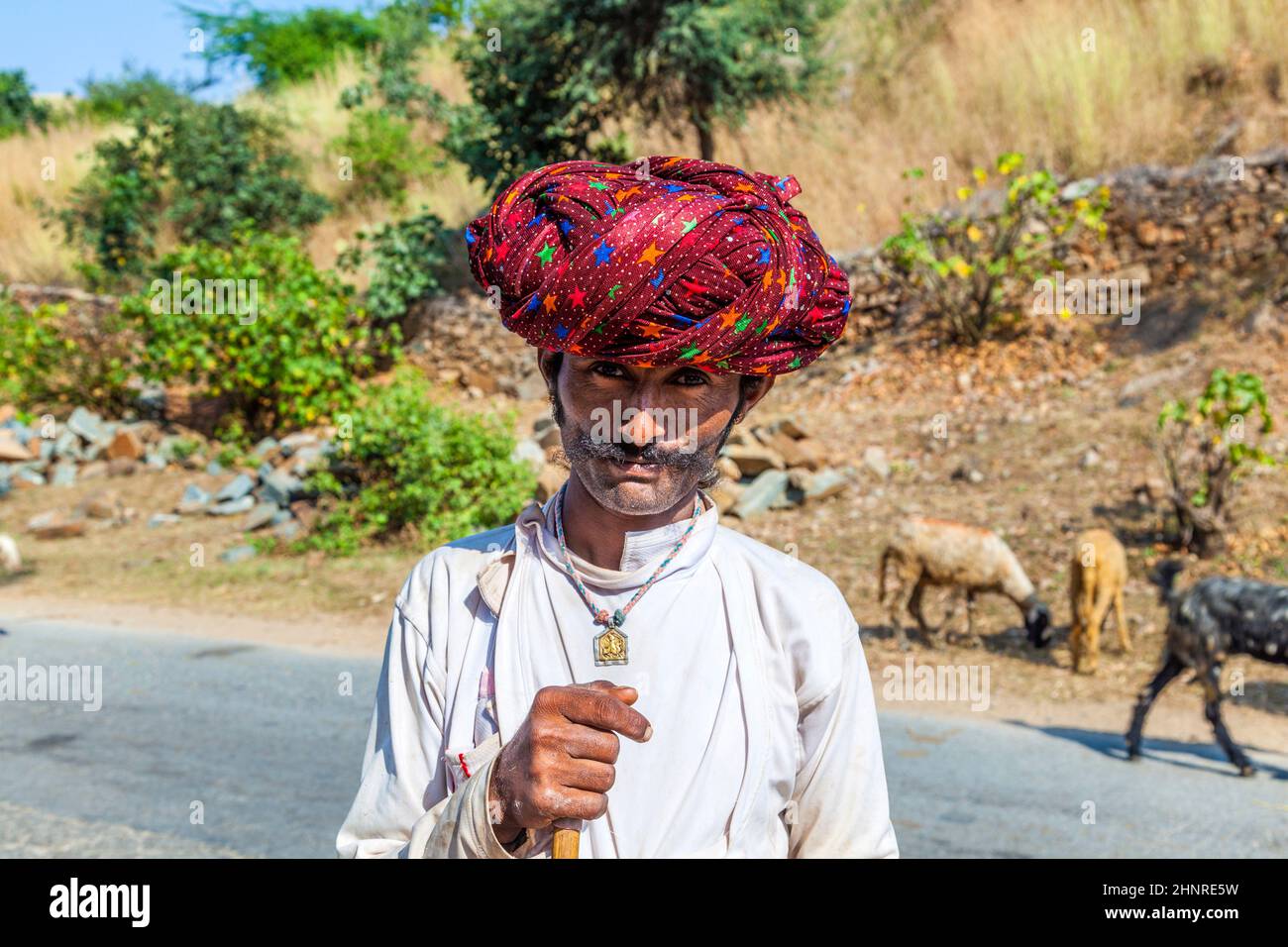 Ein Rajasthani Stammesmann trägt traditionellen bunten roten Turban und schützt die Ziegen Stockfoto