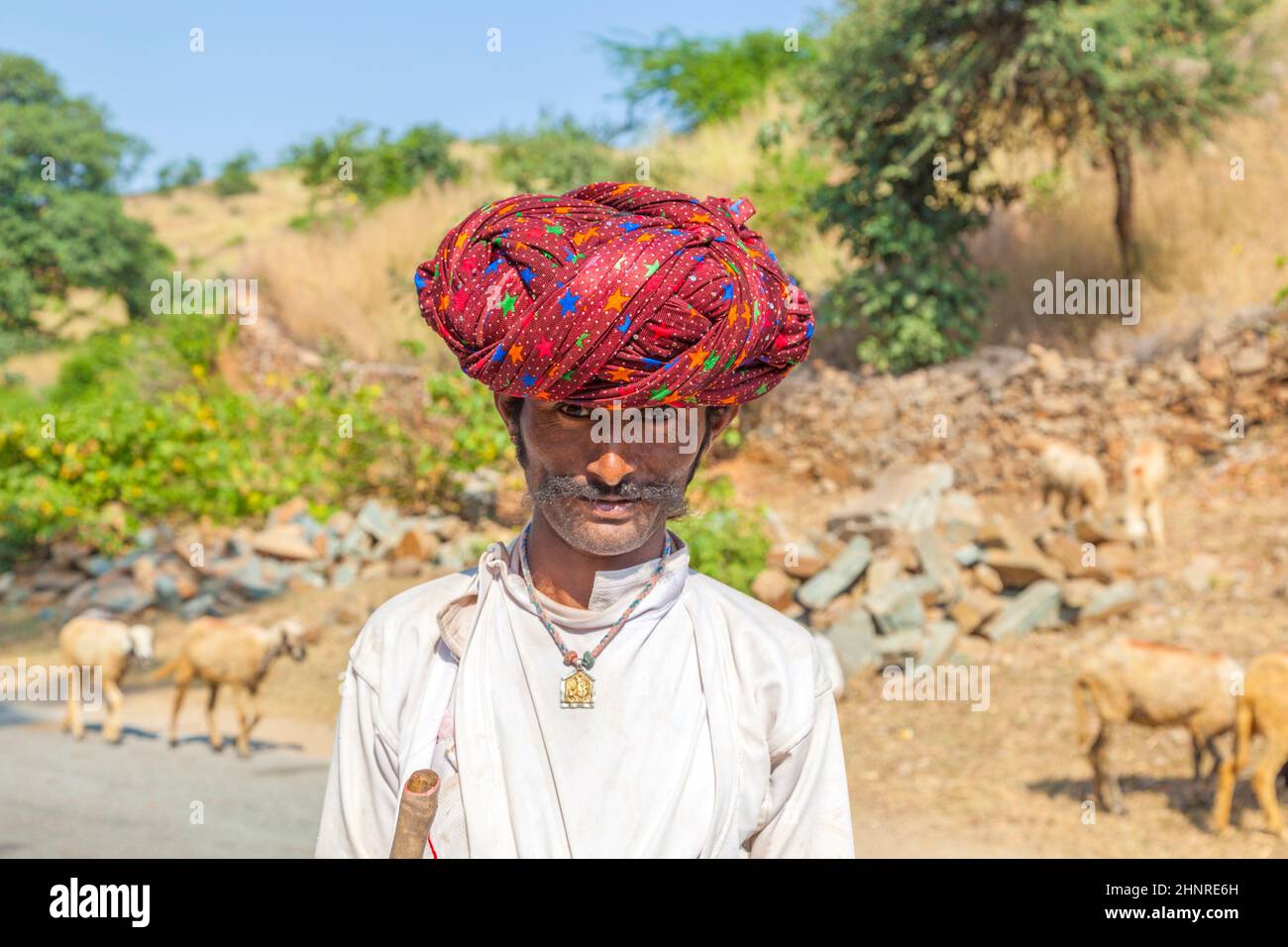 Ein Rajasthani Stammesmann trägt traditionellen bunten roten Turban und schützt die Ziegen Stockfoto
