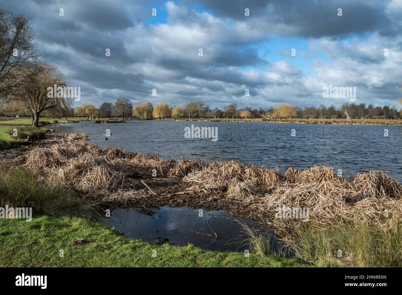 Im Bushy Park in Surrey, Großbritannien, passieren Sturmwolken über Teichen Stockfoto