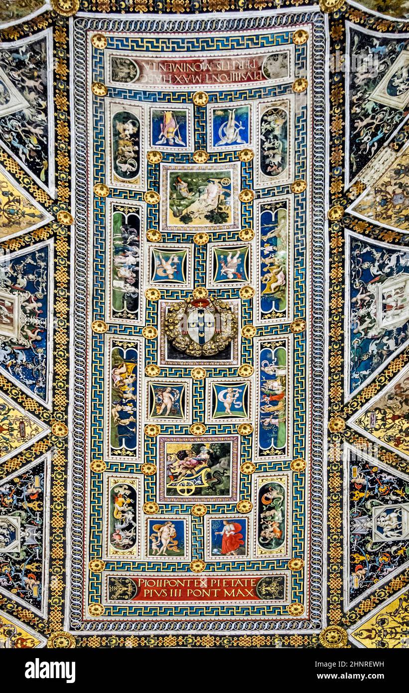 Decke des Duomo von Siena, Italien Stockfoto