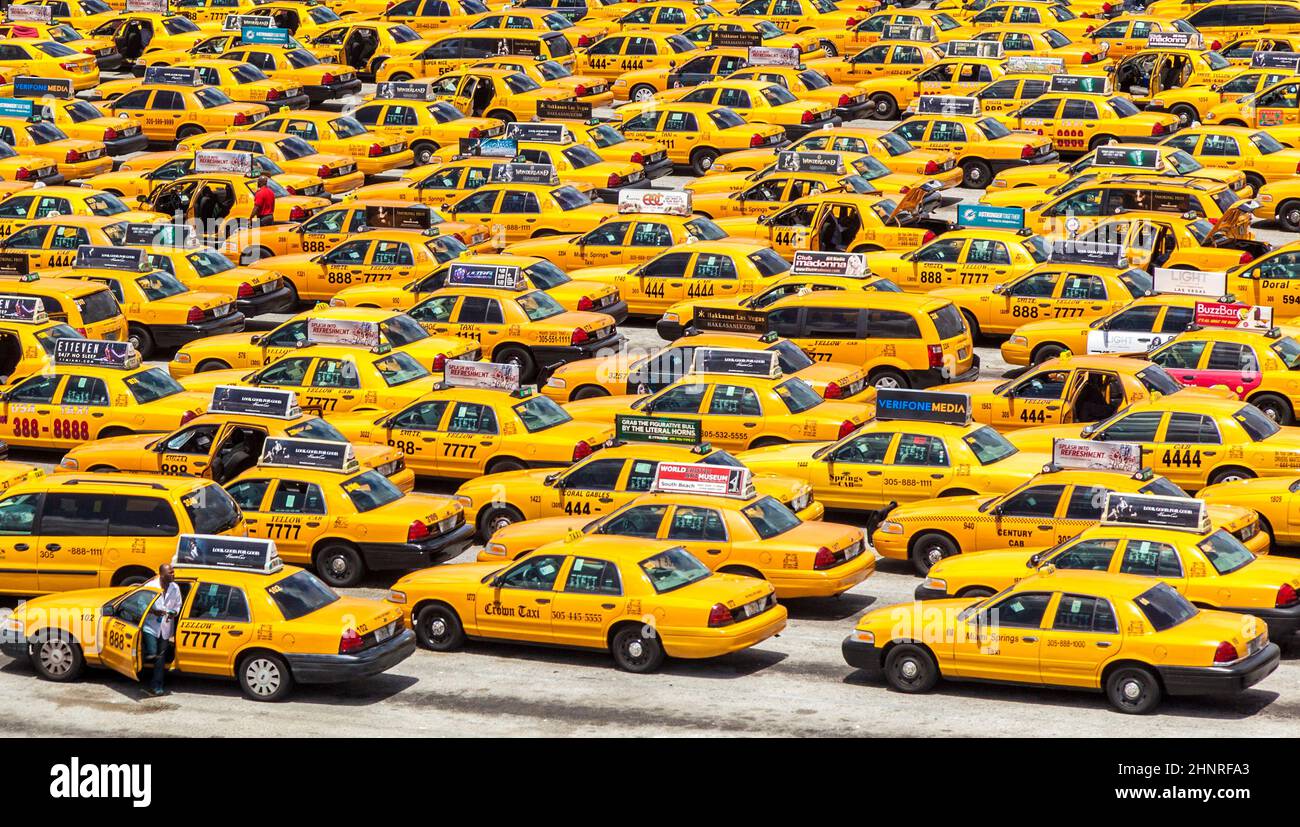 Taxis warten am Flughafen in Miami Stockfoto