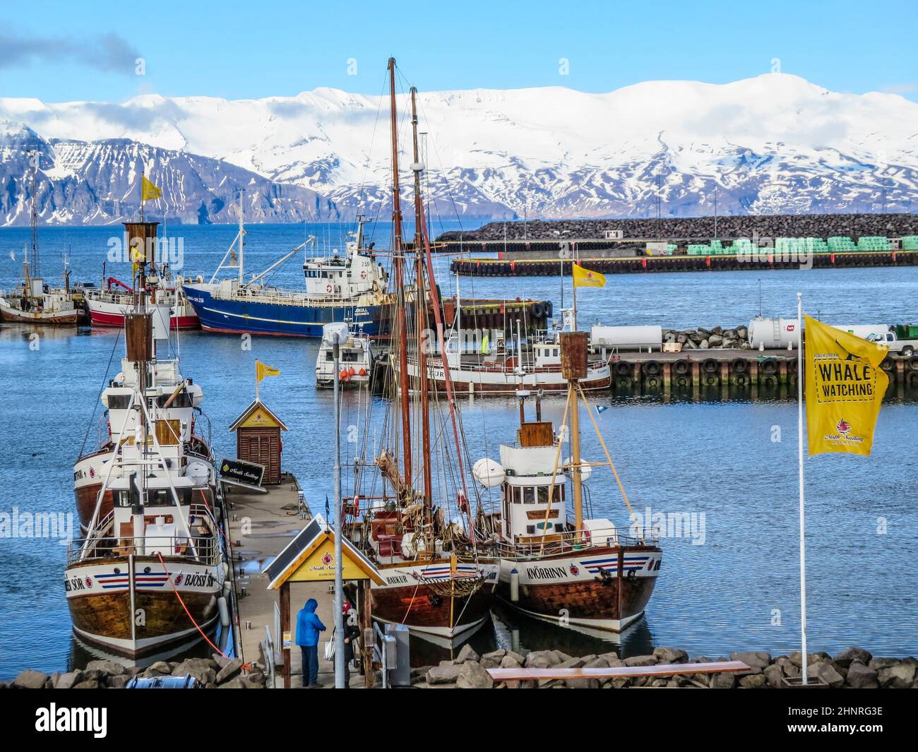 Hafen mit Booten zur Walbeobachtung im Skjalfandi Fjord Stockfoto