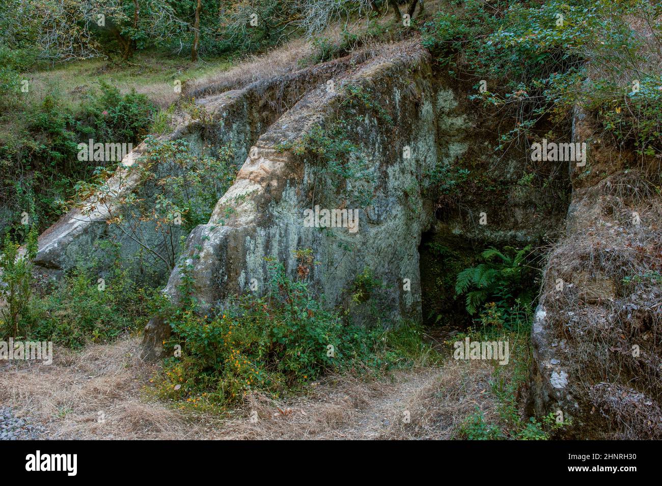 Verlassene Steinbrüche, Napa Skyline Wilderness Park, Napa Valley, Kalifornien Stockfoto