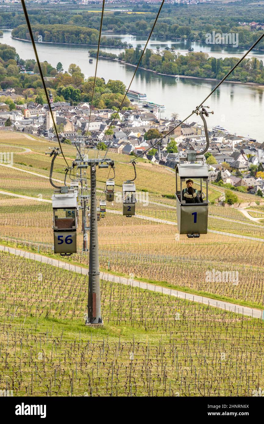 Standseilbahn über die Rüdesheimer Weinberge Stockfoto