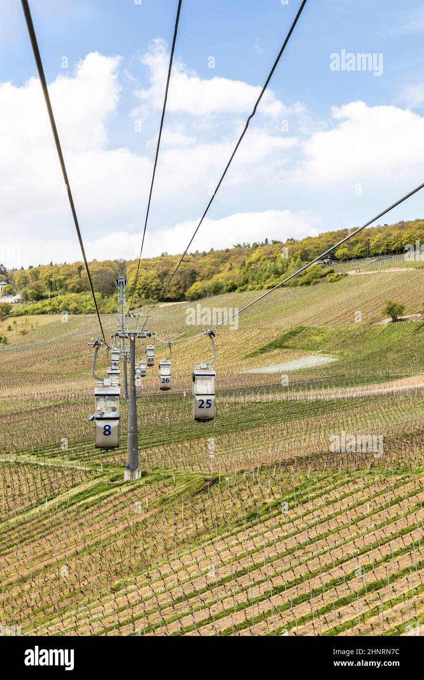 Standseilbahn über die Rüdesheimer Weinberge Stockfoto