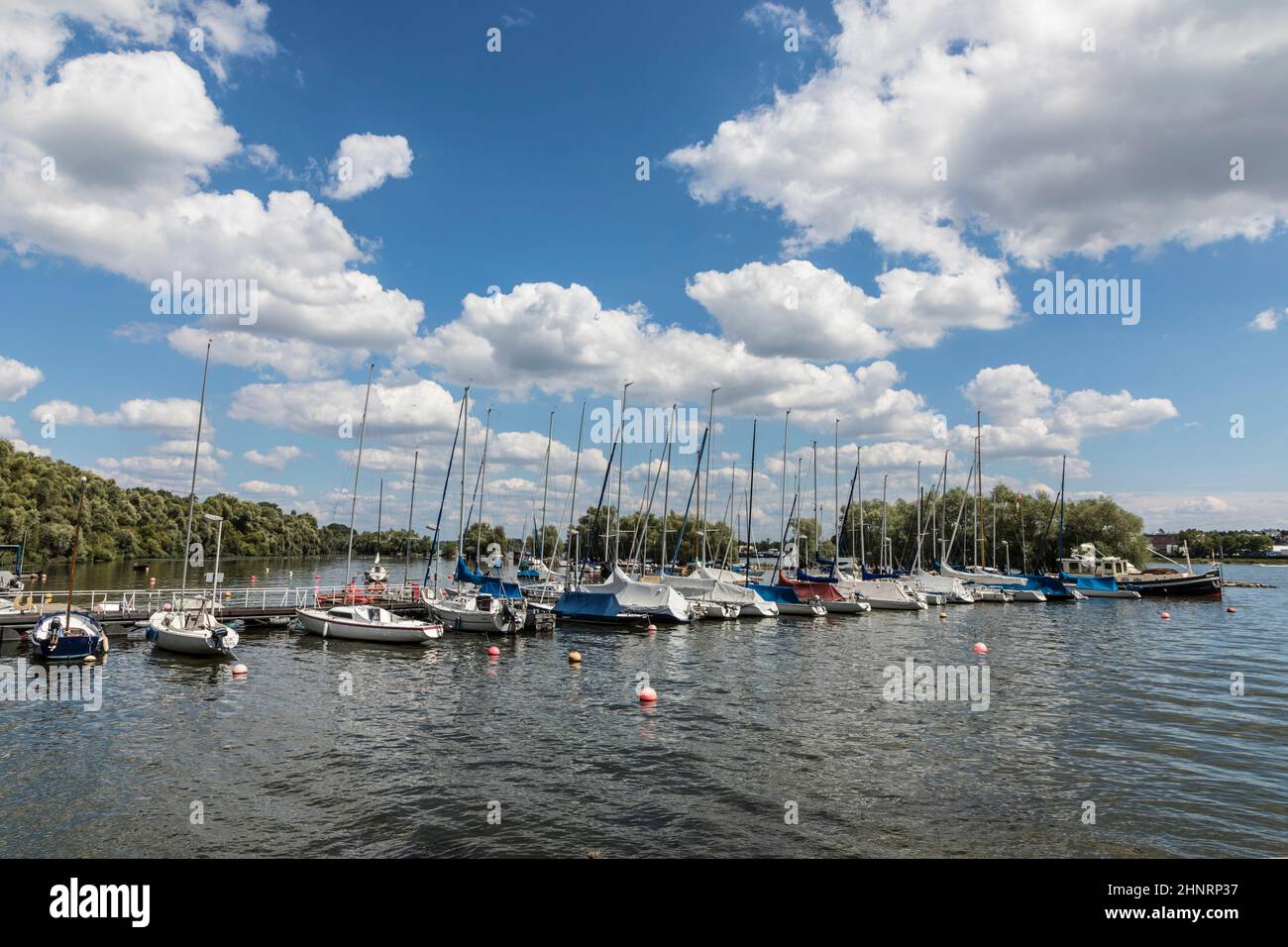 pier mit privaten Segelbooten in Walluf am Rhein Stockfoto