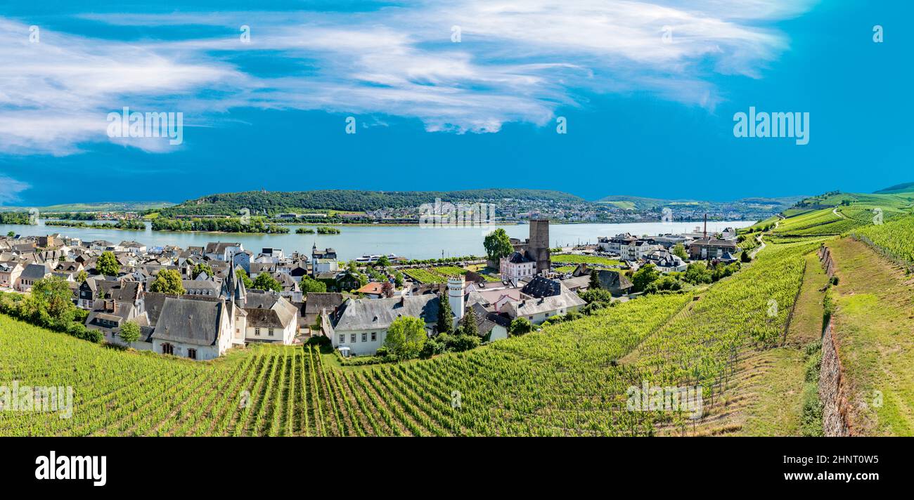 Luftaufnahme zu den malerischen Weinbergen in Rüdesheim Stockfoto