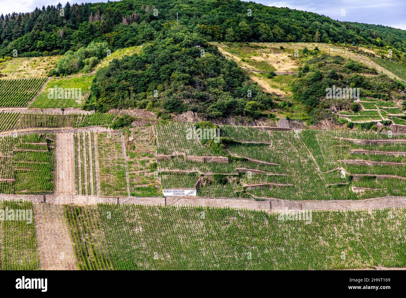 Weinberge im moseltal bei Zell mit den berühmten steilen Lindenterrassen und der Marke des Weines im Feld Stockfoto