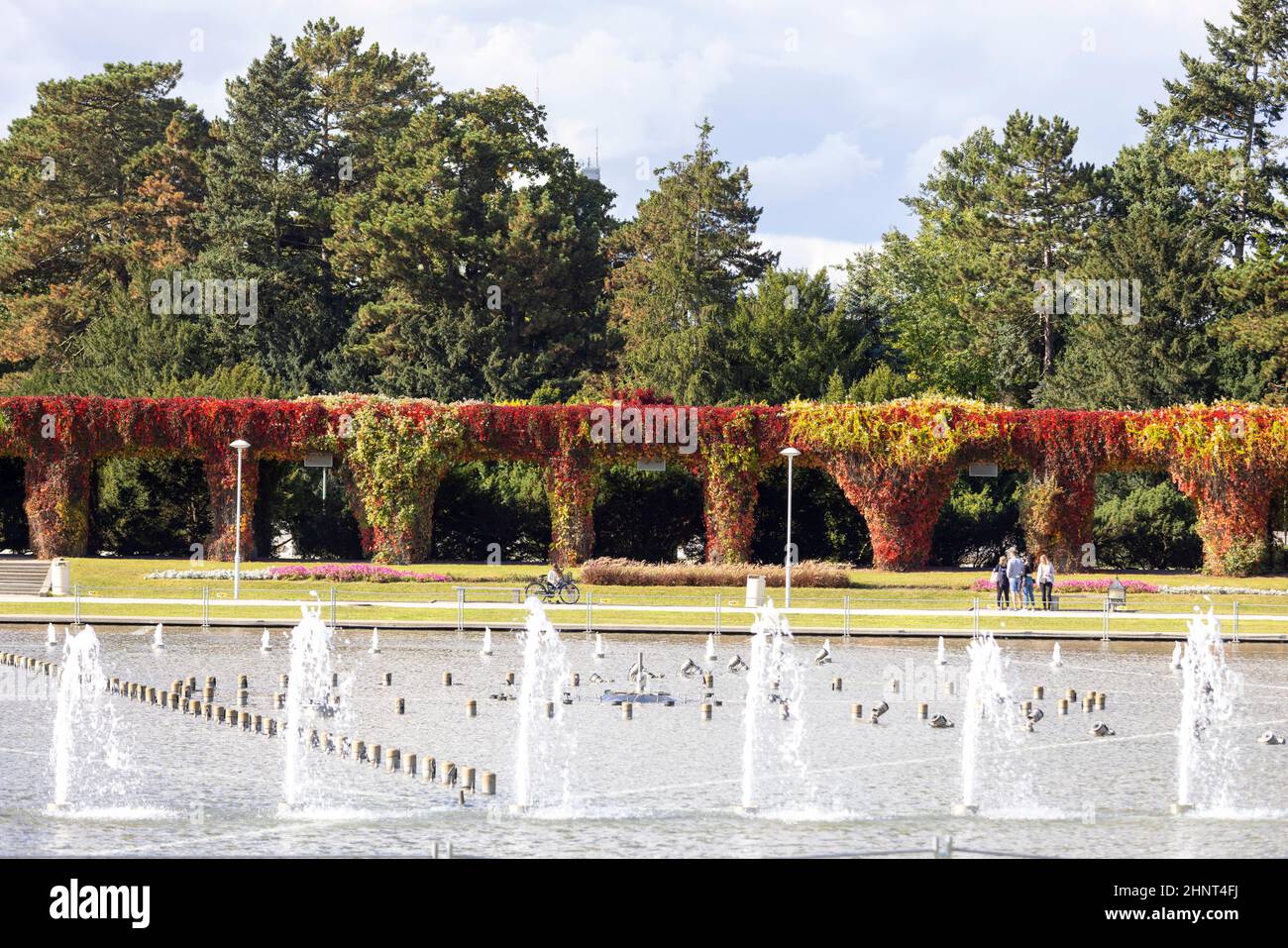 Szczytnicki Park und Breslau Pergola mit bunten Blättern von virginia kriechen an einem sonnigen Tag, Multimedia-Brunnen, Breslau, Polen Stockfoto