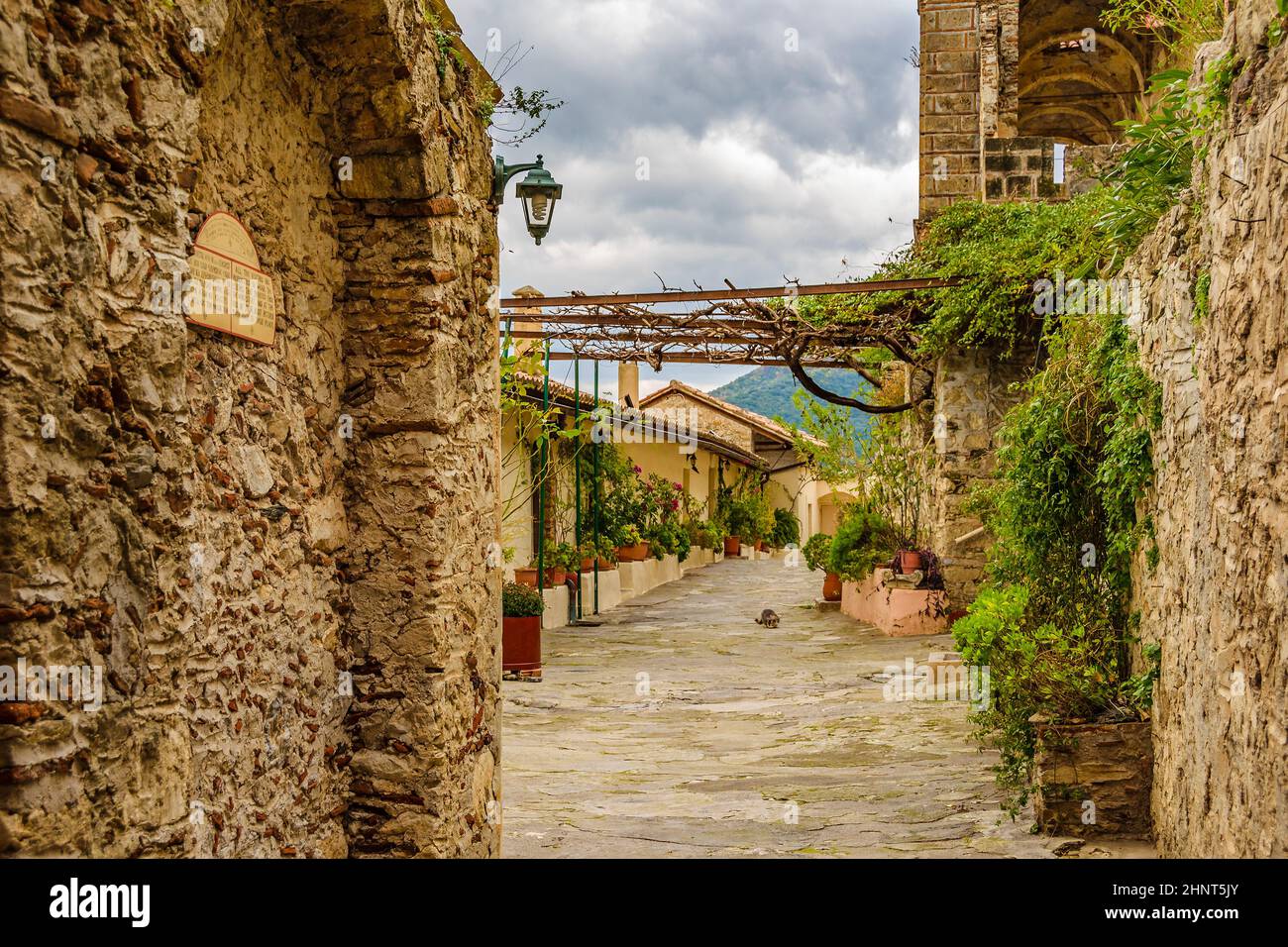 Pantanassa Kloster, Mystras, Griechenland Stockfoto