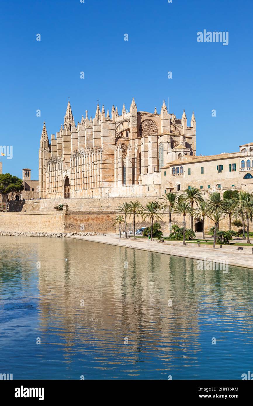 Kathedrale Catedral de Palma de Mallorca La Seu Kirche Architektur Reise Urlaub Urlaub Portrait Format in Spanien Stockfoto