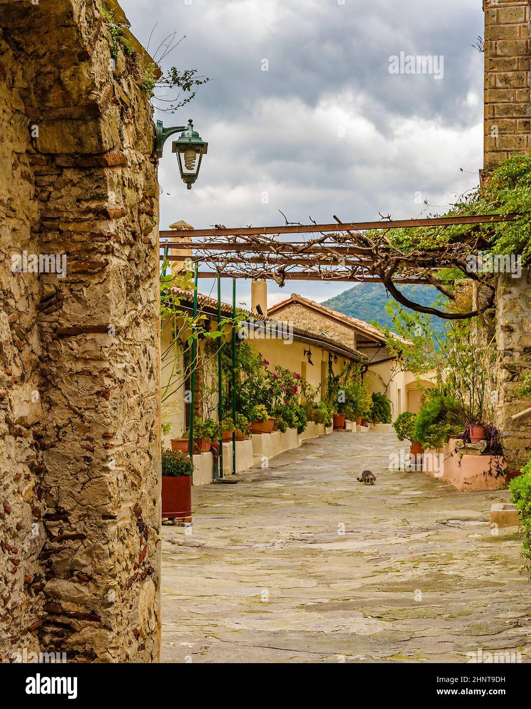 Pantanassa Kloster, Mystras, Griechenland Stockfoto