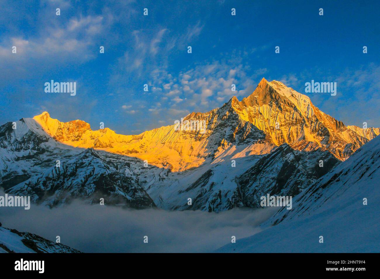 Sternenhimmel über Machhepuchare und Annapurna Base Camp - Nepal, Himalaya Stockfoto