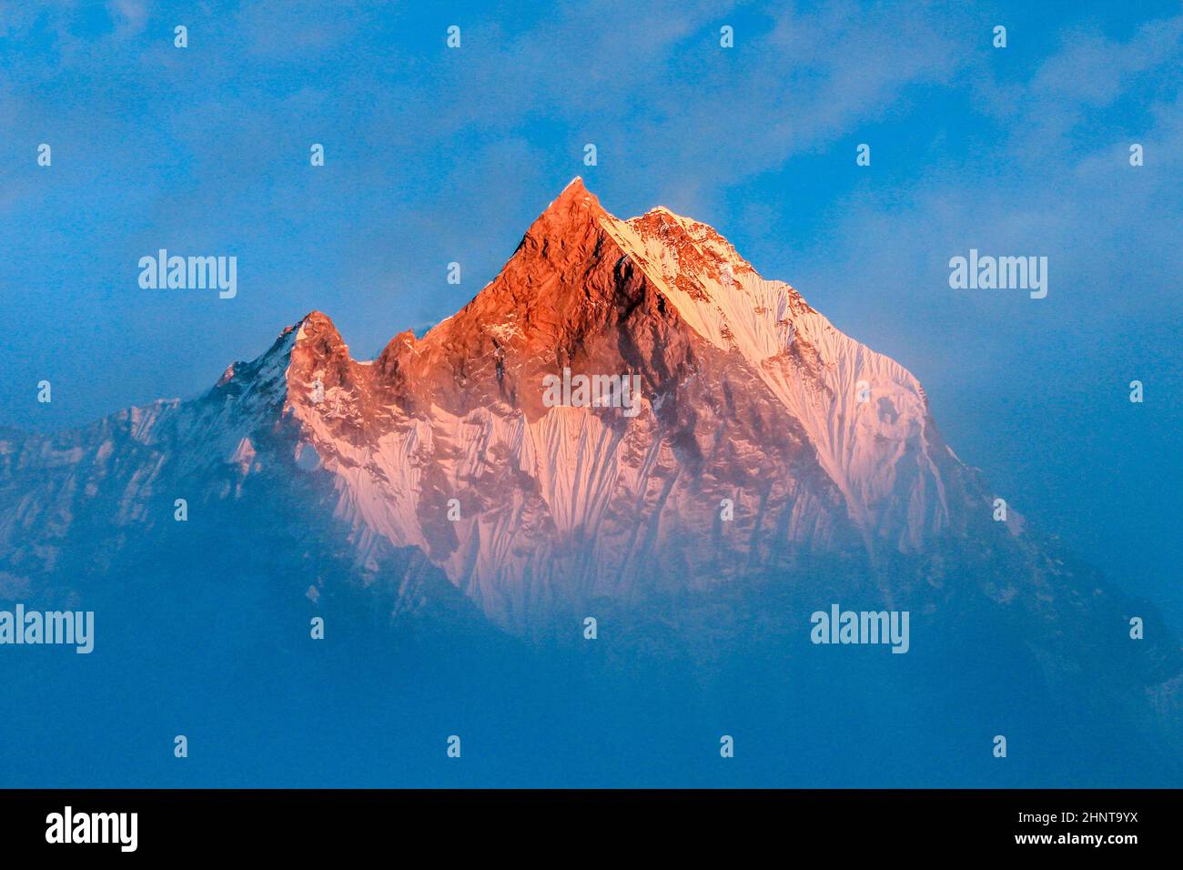 Sternenhimmel über Machhepuchare und Annapurna Base Camp - Nepal, Himalaya Stockfoto