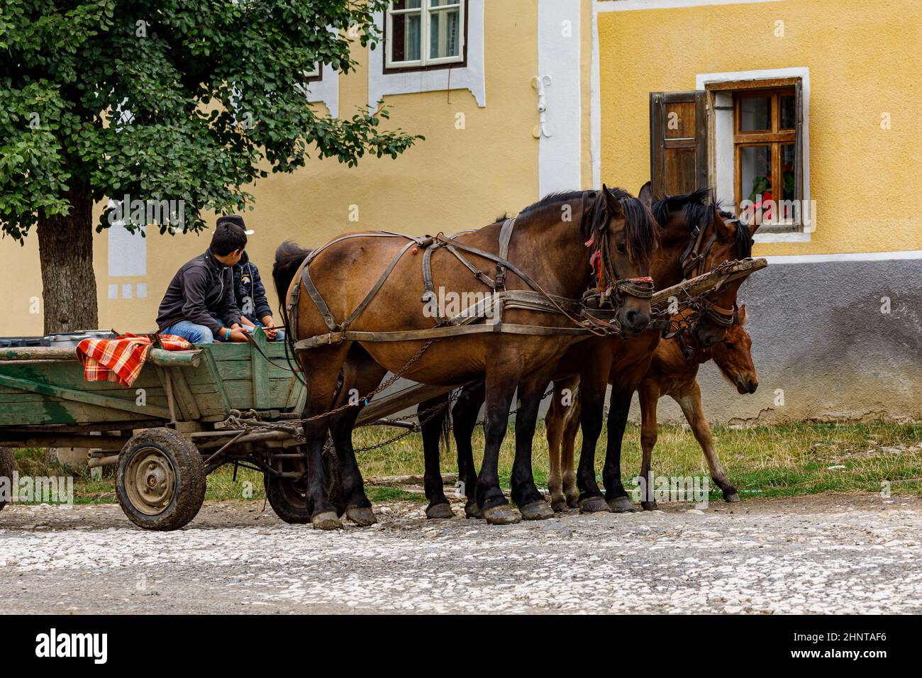 Pferd und Kutsche im Dorf Viscri in Rumänien Stockfoto