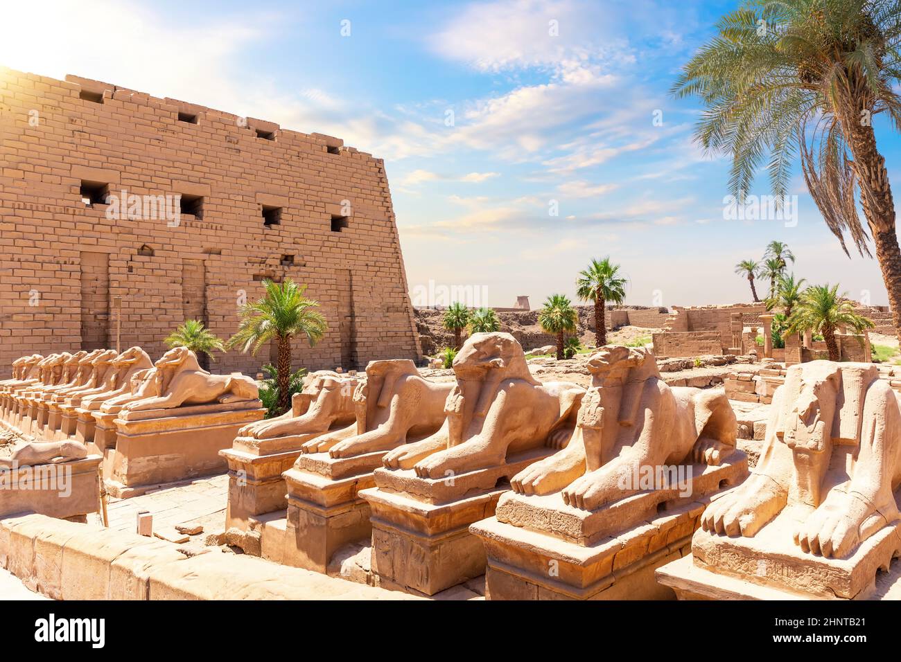 Avenue of Sphinxes oder der King s Festlichkeiten Road, rammkopfige Statuen des Karnak-Tempels, Ägypten Stockfoto