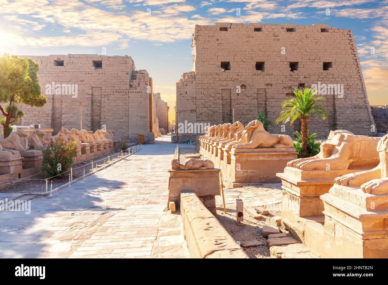 RAM-kopfige Sphinx-Statuen in der Nähe des Karnak-Tempels Eingang, Luxor, Ägypten Stockfoto