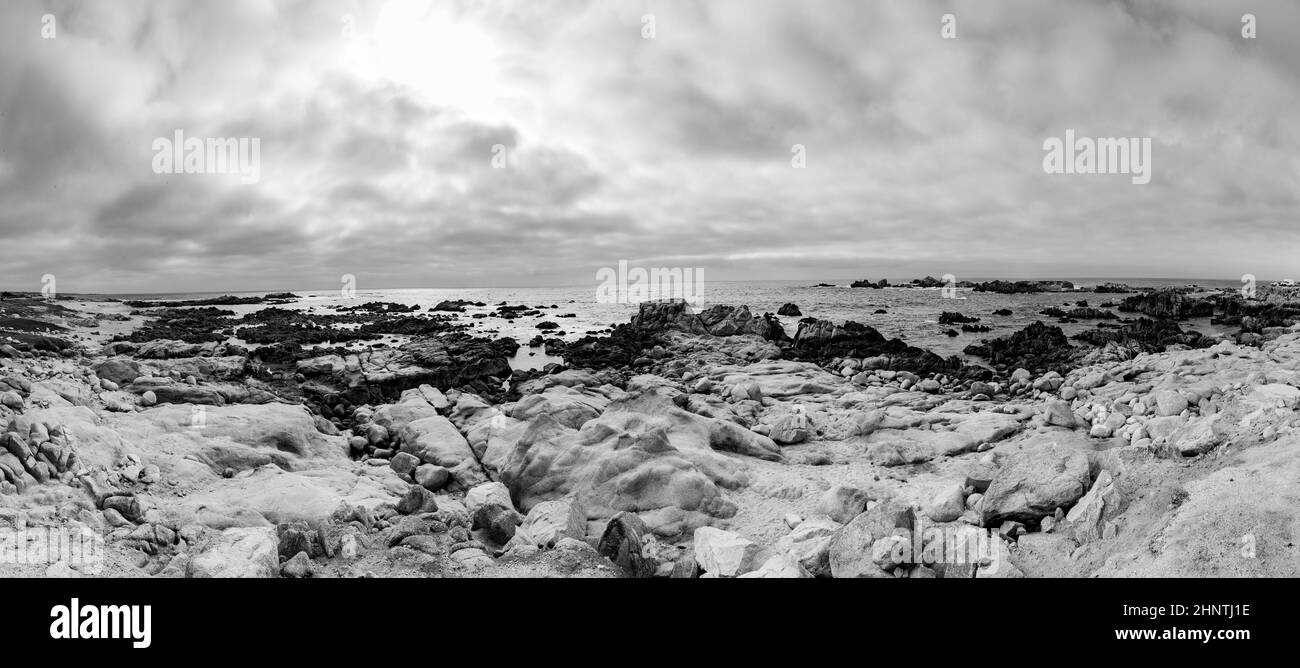 Malerische Strandlandschaft mit Felsen in den Dünen von Asilomar, Kalifornien, pazifischer Hain Stockfoto