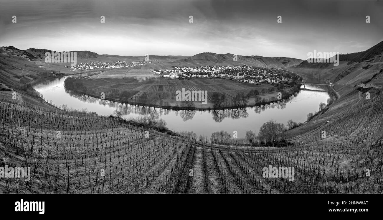 Malerische moselschleife mit dem Dorf Trittenheim von Leiwen aus gesehen Stockfoto