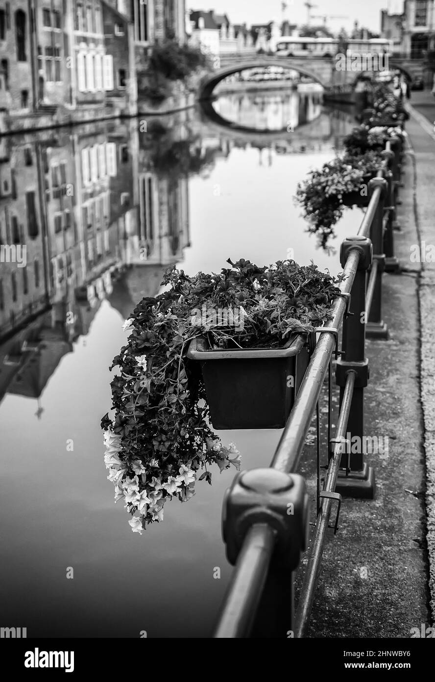 Alten Kanal der Stadt Gent, Detail des Tourismus, Europa Stockfoto