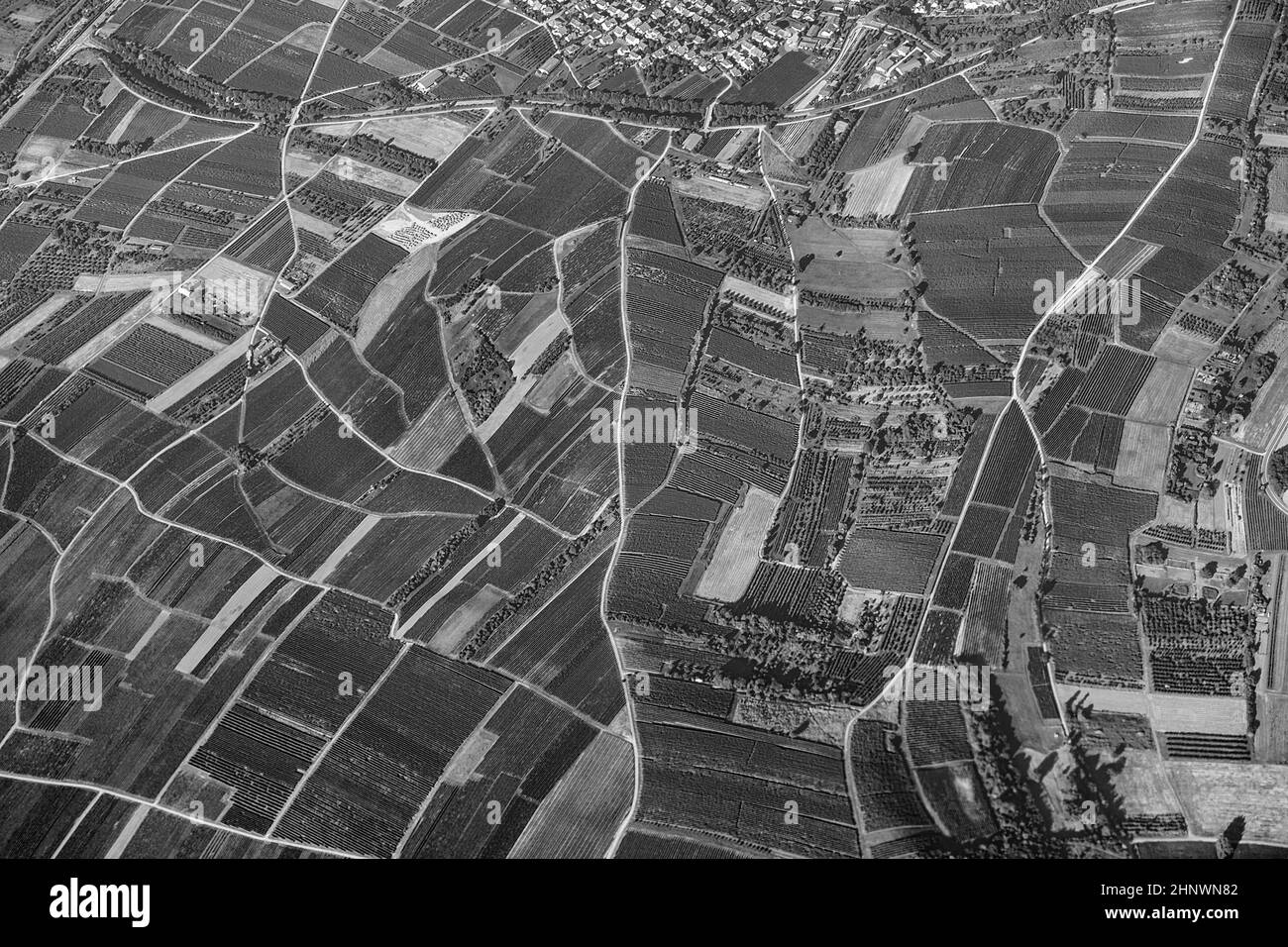 Malerische Aussicht auf Felder in der ländliche Raum in Rheinland-Pfalz in der Nähe von Mainz Stockfoto