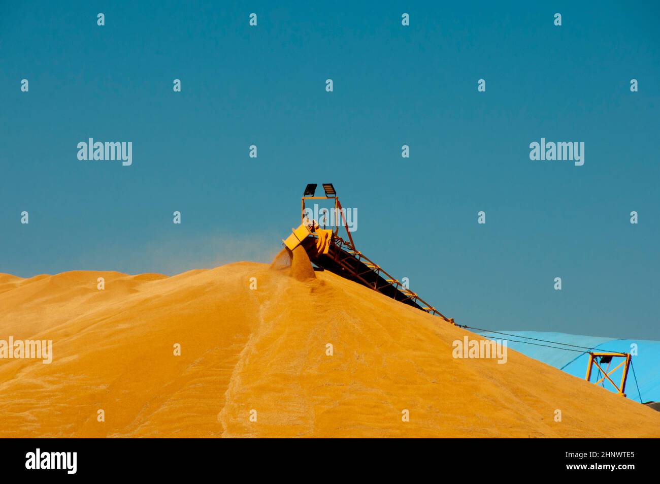 Getreidelagerung in offener Trennwand Stockfoto