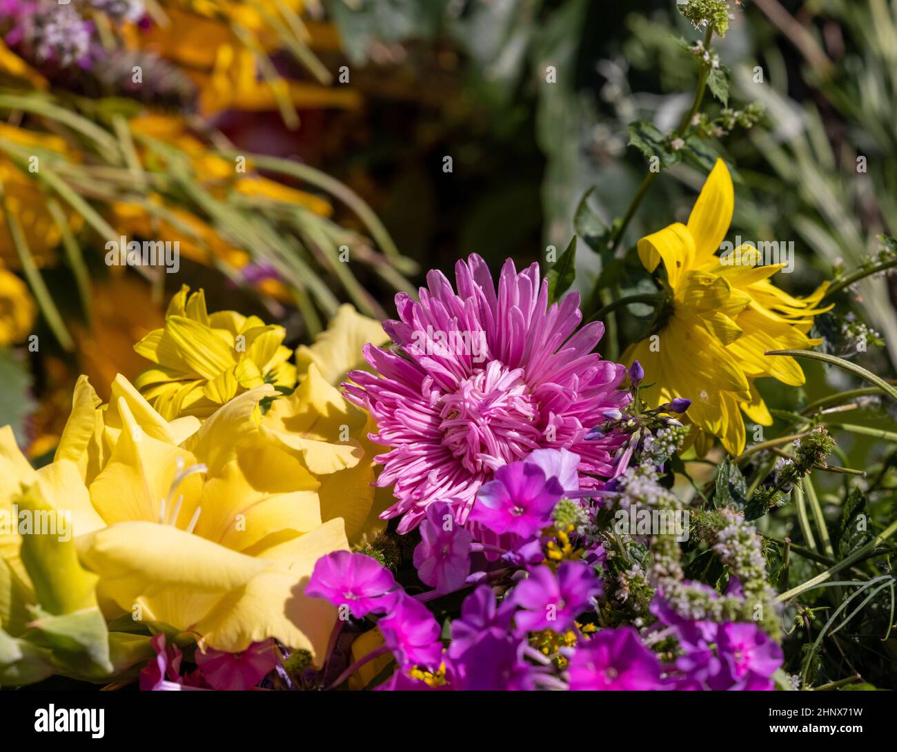 Traditionelles Bouquet aus Blumen, Kräutern und Früchten, das das Symbol des Sommers ist Stockfoto