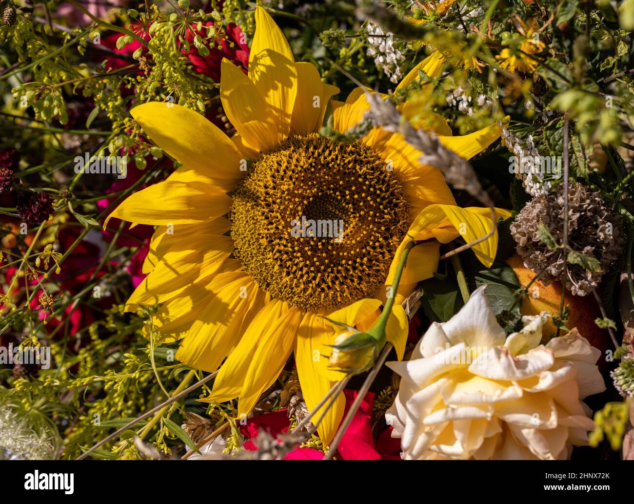 Traditionelles Bouquet aus Blumen, Kräutern und Früchten, das das Symbol des Sommers ist Stockfoto