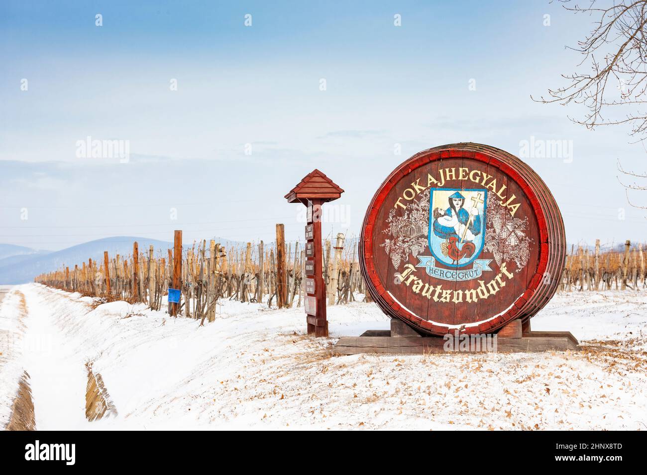 Weinberge in der Nähe von Sarospatak, Tokaj Region Ungarn Stockfoto