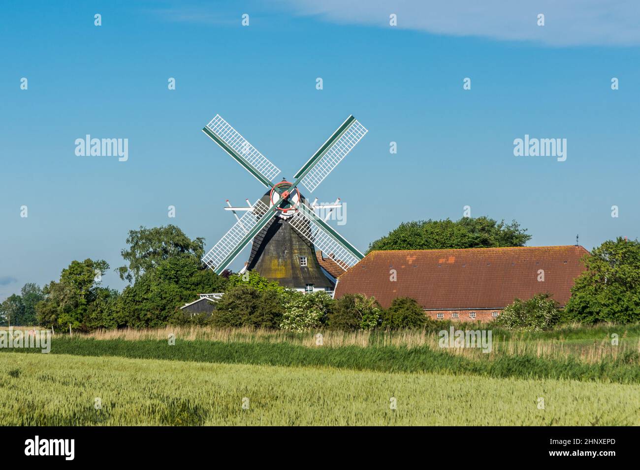 Traditionelle Windmühle in Ostfriesland, Seriemer Mühle, Niedersachsen, Deutschland Stockfoto