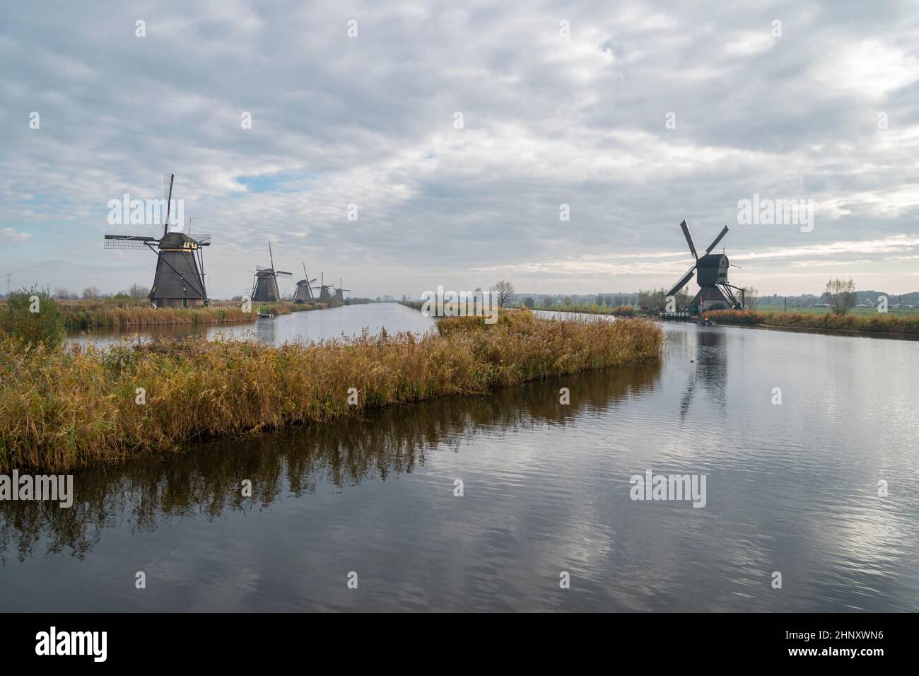Windmühlen am Fluss in Kinderdijk, Niederlande Stockfoto