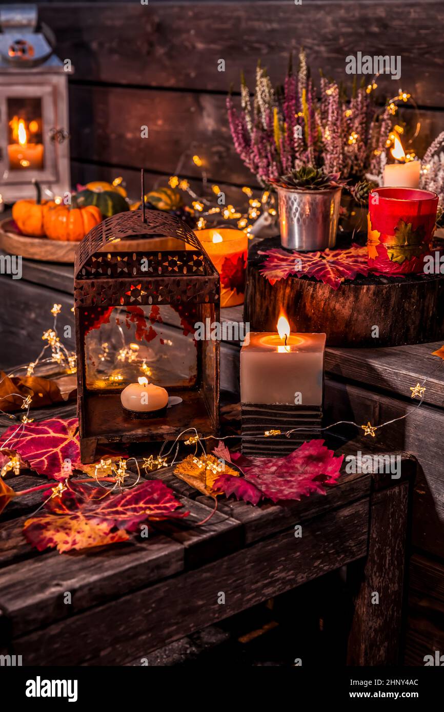 Schöne Herbstterrasse Dekoration mit Kürbissen, Laterne, Pflanzen und Blumen Stockfoto