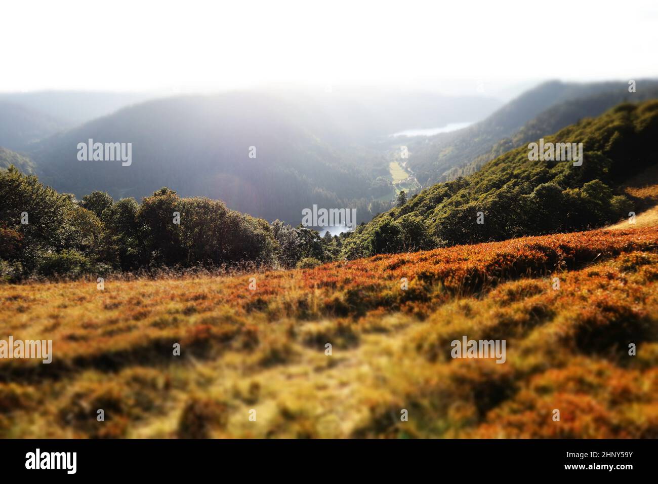 Berglandschaft von Xonrupt Longemer im Herbst mit Wald und Seen vom Balveurches Gipfel im Massif des Vosges Frankreich Stockfoto