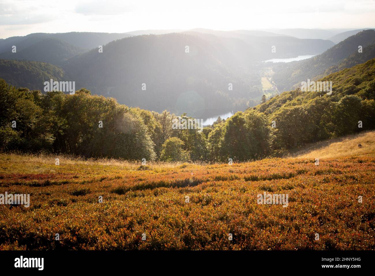Berglandschaft von Xonrupt Longemer im Herbst mit Wald und Seen vom Balveurches Gipfel im Massif des Vosges Frankreich Stockfoto