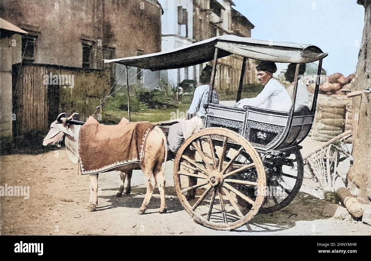 Machine Colorized Native Bullock Cart oder Makerry in Bombay (Mumbai) aus den lebenden Rassen der Menschheit : Eine populäre illustrierte Darstellung der Bräuche, Gewohnheiten, Verfolgungen, Feste und Zeremonien der Menschenrassen in der ganzen Welt Band 1 von Sir Harry Hamilton Johnston, Henry Neville Hutchinson, Richard Lydekker und Dr. A. H. Keane veröffentlichte London : Hutchinson & Co. 1902 Stockfoto