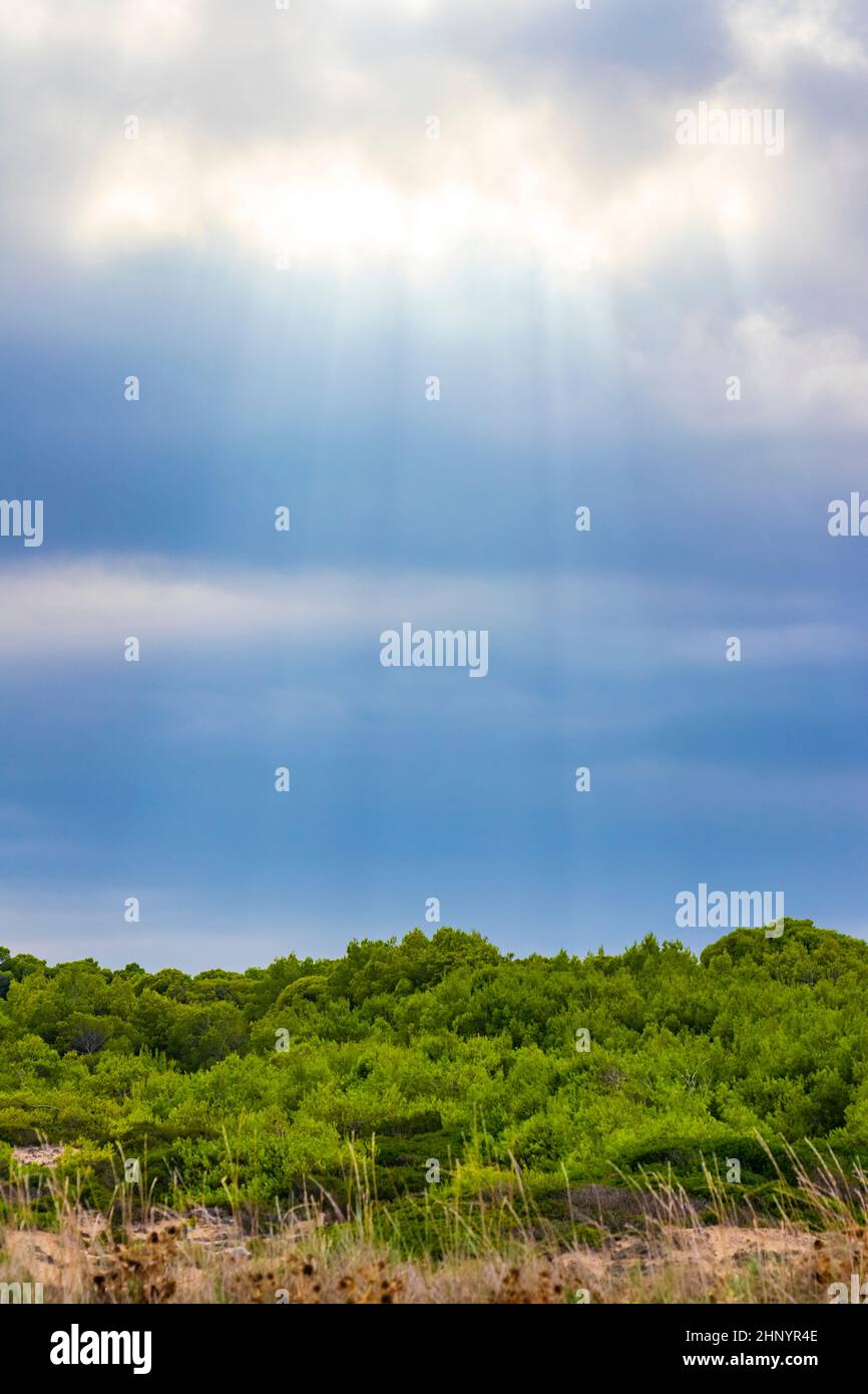 Sonnenstrahlen vom Himmel in rauer natürlicher Küstenlandschaft Panorama in Can Picafort auf der Baleareninsel Mallorca in Spanien. Stockfoto