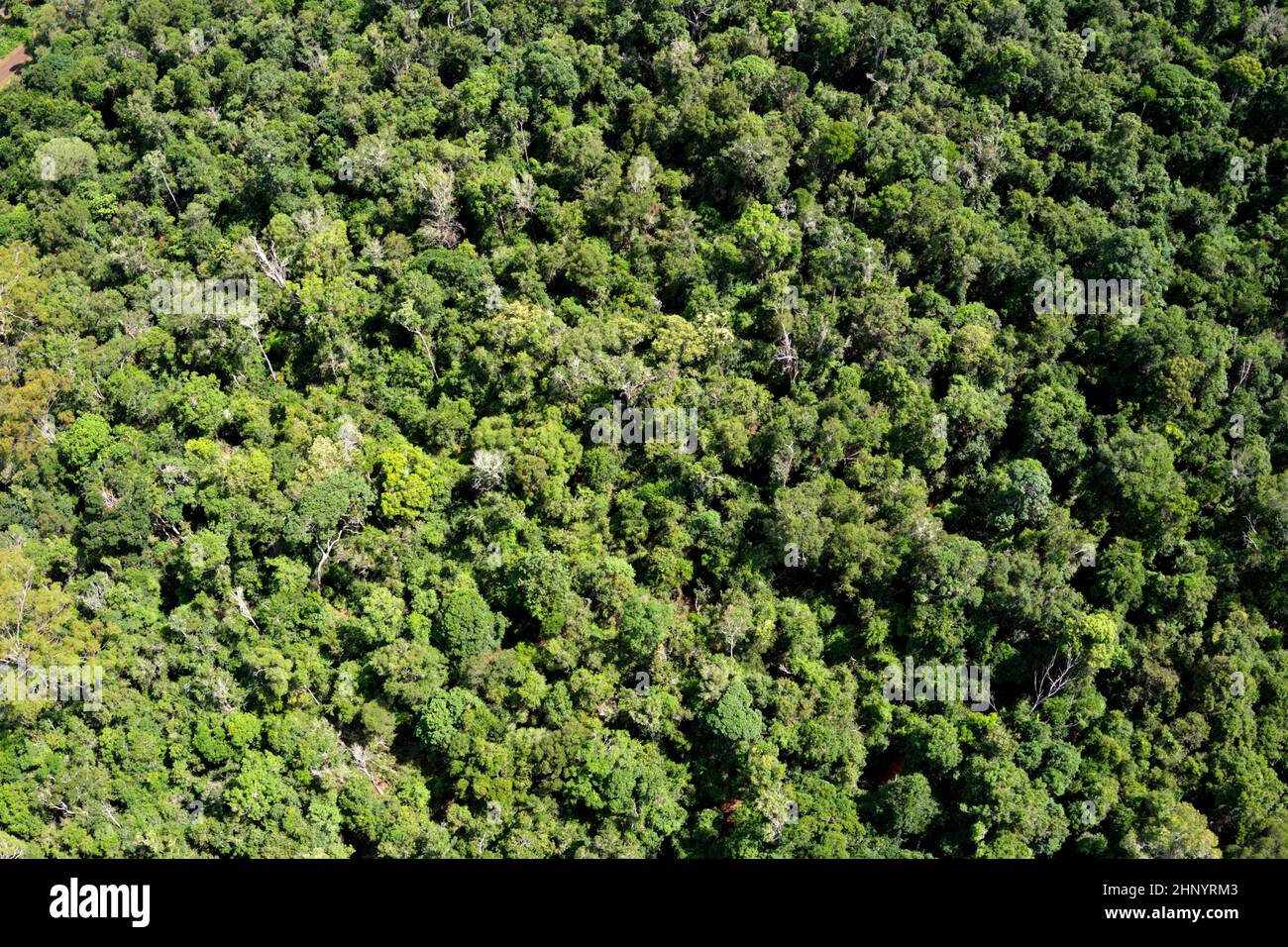 Luftaufnahme des ursprünglichen Buschlandes, die im Jack Smith Conservation Park Murgon Queensland Australia erhalten wurde Stockfoto