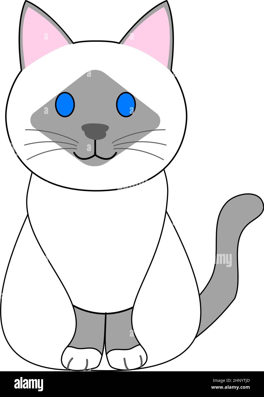 Eine birmankatze mit weißem Hintergrund Stockfoto