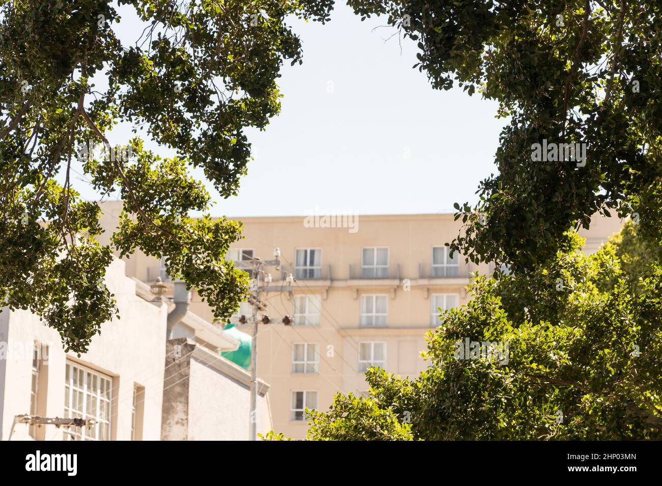 Ansicht zwischen Bäumen und Baumkronen auf Stadt Kapstadt, Südafrika. Stockfoto