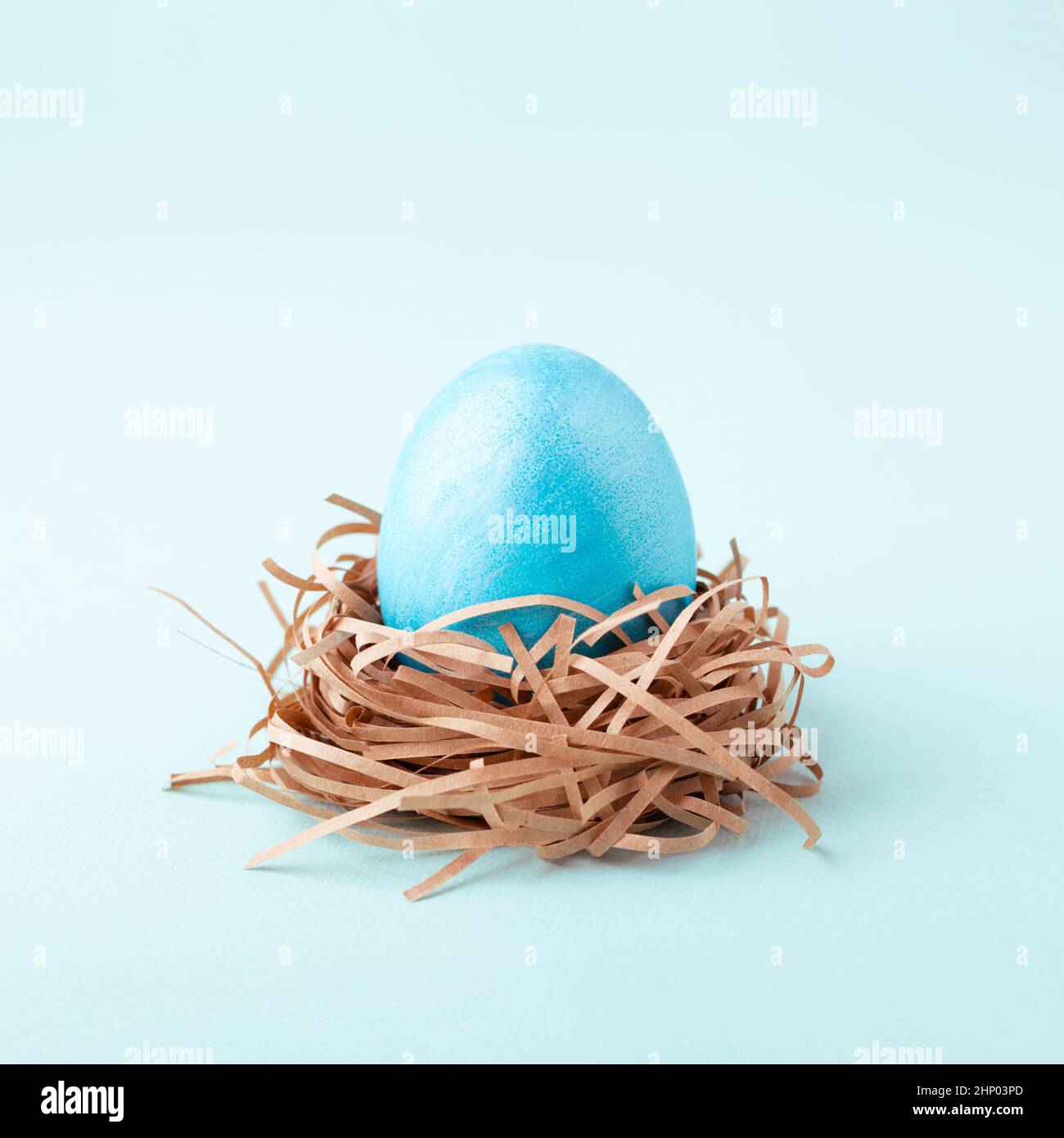 Konzeptionelles Nest mit blauem Osterei auf blauem Hintergrund. Stockfoto