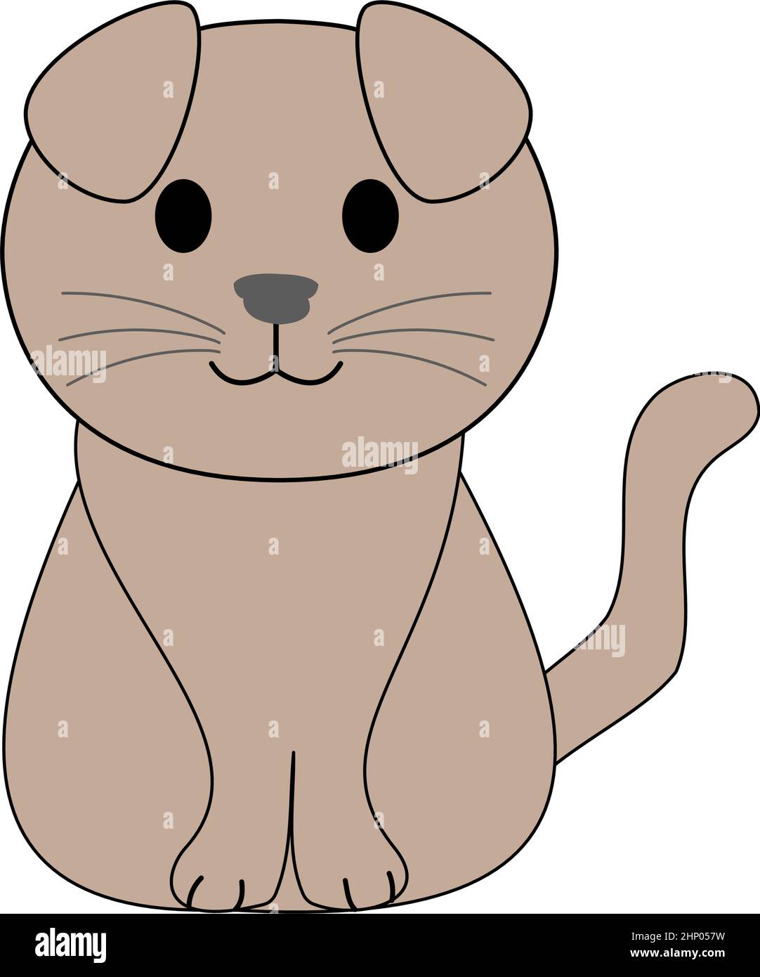 Eine schottische Faltenkatze mit weißem Hintergrund Stockfoto